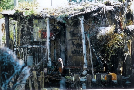 Looks like Stew has some roof repair to do. I think someone died on his porch...