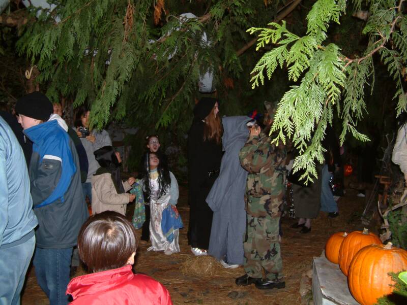 #31 - 2004